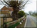 Highleigh Road looking towards the junction with Rotten Row in PO20 7QS