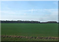 Farmland, West Burton in West Burton