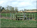 Footpath Bridge, South Of  Witchampton in BH21 5AG