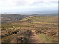 Path below Dowsborough Hill Fort in TA5 1RZ