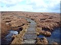 The Pennine Way North of Ashop Head in SK13 7PP