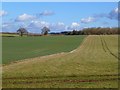 Farmland, Sparsholt in SO21 2NG