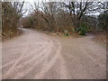 Junction of tracks and paths in woodland in NP10 8GB