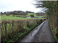 Lane on the north-western edge of Llwyn Hir wood in Rudry Community
