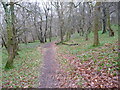 Path into Coedcae woodland near Rudry in Rudry Community