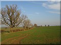 Lawford Heath Farmland in CV23 9HD