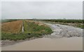 Muddy track and drain, near Burtey Fen Farm South in Pinchbeck and Surfleet Ward