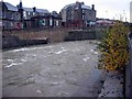 River Teviot, Hawick in Hawick