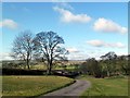 Approaching Scaldersitch Farm in SK17 0HN
