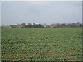 View towards Toft next Newton in Toft Newton