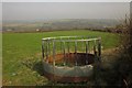 Animal feeder near Stourscombe in PL15 9GE
