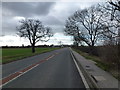 Not a car in sight - Approaching Thorney from the east in PE6 0RZ