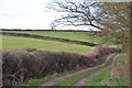 Mid Devon : Track to Coydon Cottage in EX16 7RF