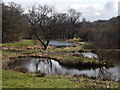 Ponds Above Oakhanger Stream in GU34 3HY