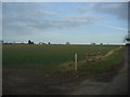 Field by Whempstead Lane in SG12 0FF