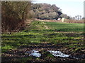 Field South of Selborne in GU34 3LN