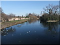 The River Soar through Abbey Park, Leicester in LE1 3UD