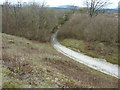 Bridleway at the end of the spur of Heyshott access land in GU29 0DP