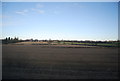 Farmland by the West Coast Main Line in CV12 9NB