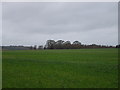 Farmland near Long Crichelf in BH21 5LF