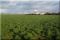 Flat fields near Warton Aerodrome in PR4 1TD