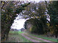 Bridleway west of Chilton Candover in Candovers