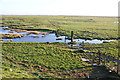 Wrea Brook salt marshes in FY8 5SB