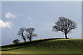 Farmland and trees at Crooked Holme in CA8 2AT