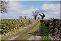 Green Lane, a Farm access Track off the A513 in B79 9BD