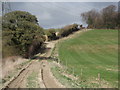 Track to Goldridge Plantation in GU34 3RL