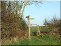 Jubilee Trail, signpost and gate in BH20 7JG