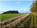 Farmland and track, Chilton Foliat in RG17 0TJ