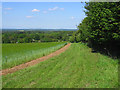 Farmland, Inkpen in RG17 9EA
