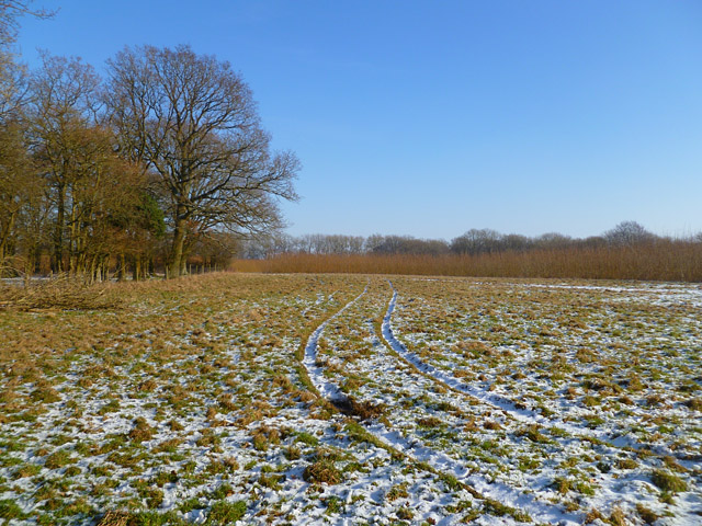 Woodland, East Garston in RG17 7BD