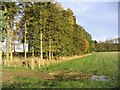 Pasture field and trees in TD15 1XW