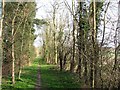 Armshold Lane: towards Toft in CB23 1HT