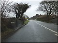 A389 bridge over Bodmin and Wenford Railway in PL31 1NH