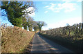 Lane between Oakley & Dummer in RG25 2DJ