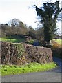 Country Lane near Bryn-yr-eithin in LL12 9YR