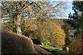 Offwell: Hayne Lane in EX14 9JY