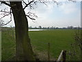 Pond in farmland near Woodford in SK7 1PQ