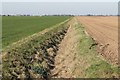 Drain and Fields west from Common Road in PE12 6LF