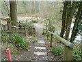 Steps leading to Vann Lake in RH5 5HY