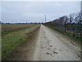 Farm track from Park Farm to Butterlees Farm in PO20 1LL