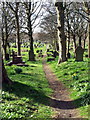 Path through the Gravestones in NE29 9BU