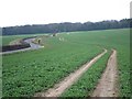 Crop field near Woodstock  in CT14 0HT