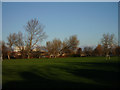 Playing Fields in S70 6PF