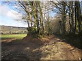 Track near Hoo Meavy Farm in PL20 6HZ