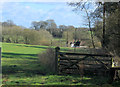 2012 : Field, valley and copse west of Manton Drove in SN8 4DW