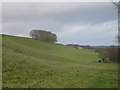 View towards Knowle Hill from Church Bottom in SP5 5HD